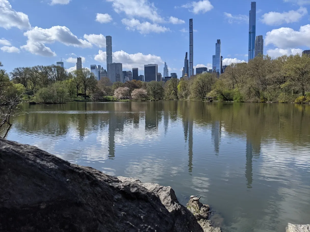Central Park, New York, NY