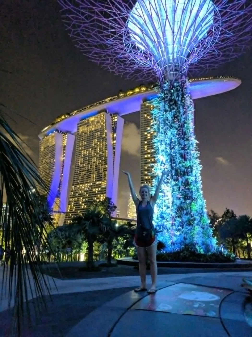Gardens by the Bay, Singapore
